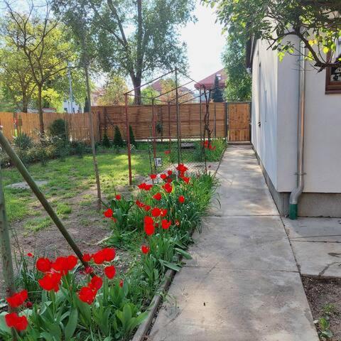 Ujszeged Apartman Szeged Exterior foto