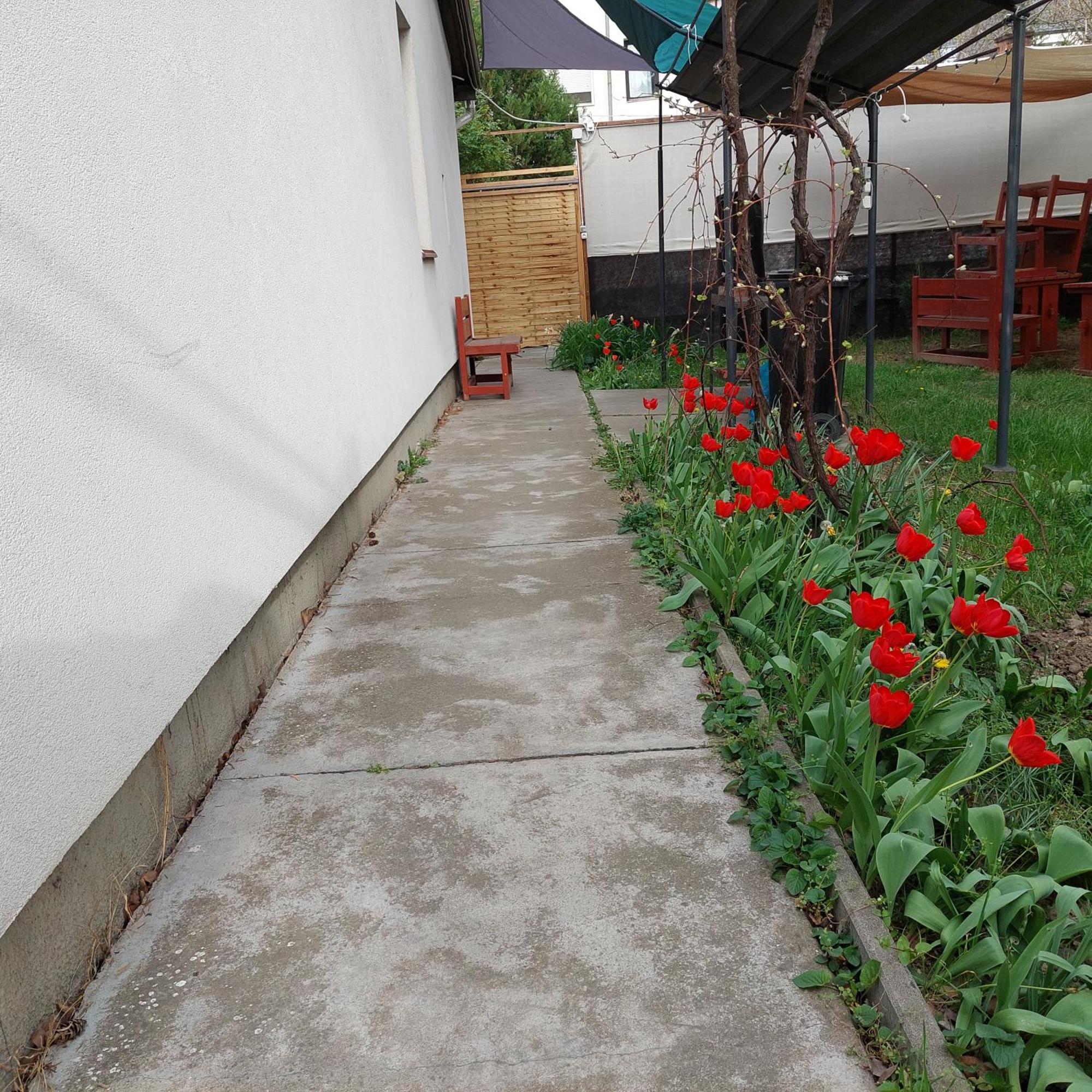 Ujszeged Apartman Szeged Exterior foto